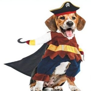 Disfraz para perro pirata