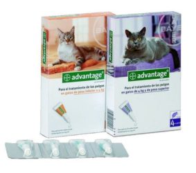 Antipulgas para gatos